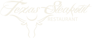 texas logo