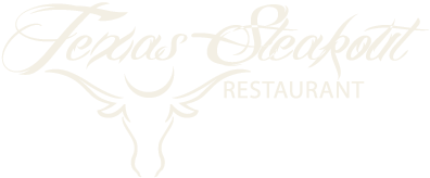 texas logo