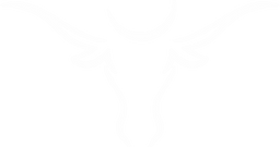 Texas Steakout Logo