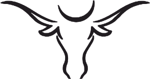 texas logo